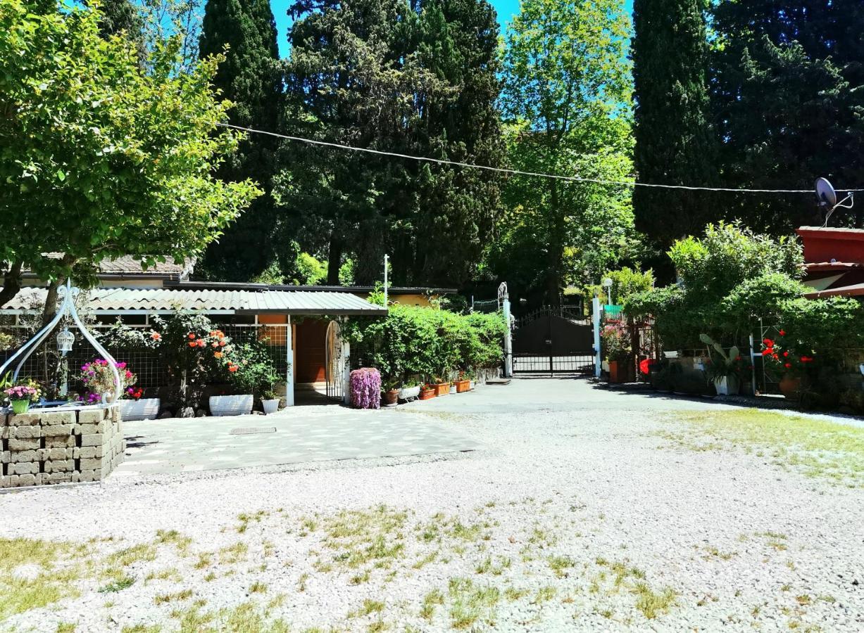 Monic83 Spiaggia Privata Trevignano Romano Dış mekan fotoğraf